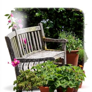 Shrub Gardening & Horticulture Guide by Chelsea Green Publishing-0