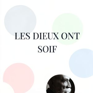 Historical Fiction Kindle eBook BoD French Edition 243 Pages-0