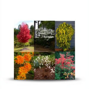 Shore Publications Gardening Guide for Kindle-0