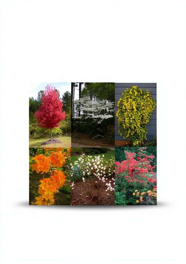 Shore Publications Gardening Guide for Kindle-0